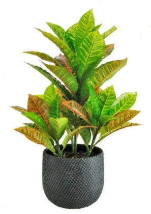 Artificial Silk Large Potted Calathea Plant