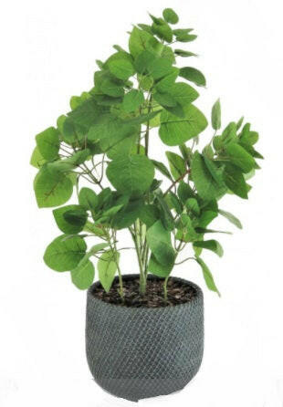 Artificial Potted Apple Leaf In Mesh Pot