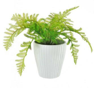 Artificial Potted Lady Fern In Ribbed Pot
