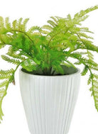 Artificial Potted Lady Fern In Ribbed Pot