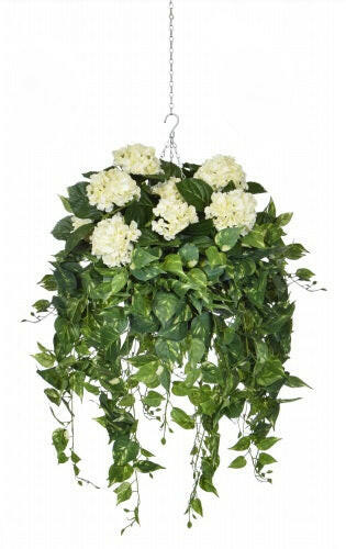 Artificial Silk Hydrangeas with Pothos Trails Hanging Basket FR
