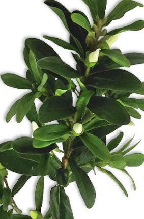 Artificial Camellia Spray with Buds