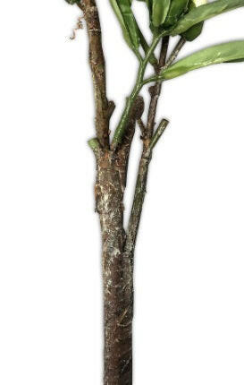 Artificial Camellia Spray with Buds