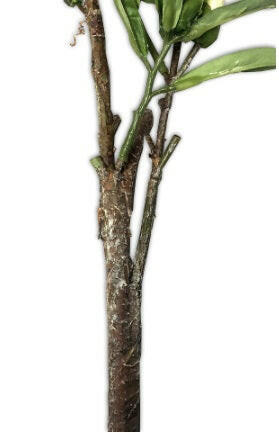 Artificial Lush Camellia Leaf Spray