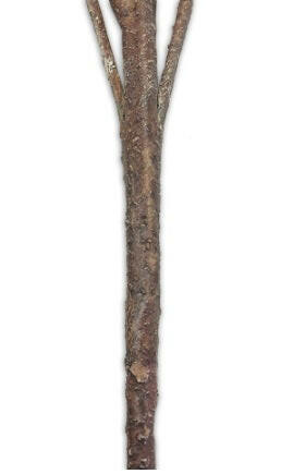 Artificial Coral Leaf Filler Spray