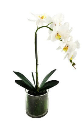 Artificial Silk Small Phalaenopsis Orchid in a Glass Vase