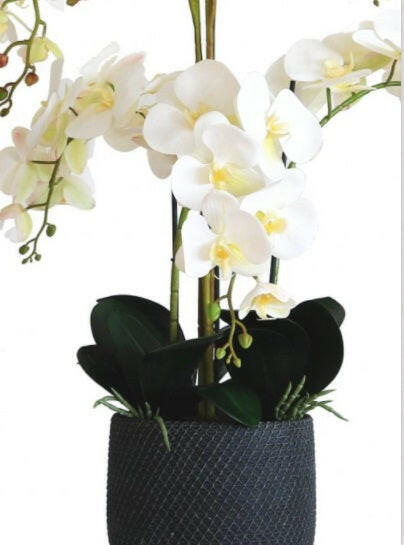 Artificial Silk Phalaenopsis Orchid Grand Arrangement