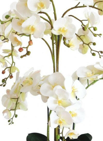Artificial Silk Phalaenopsis Orchid Grand Arrangement
