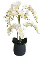 Artificial Silk Phalaenopsis Orchid Grand Arrangement