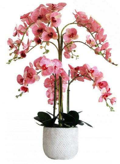 Artificial Silk Phalaenopsis Orchid Grand Arrangement