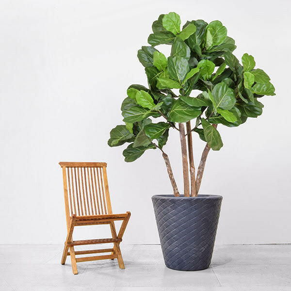 Luxury Artificial Silk Bespoke Fiddle Multi Stem FR Tree Deluxe in a Matuba Planter