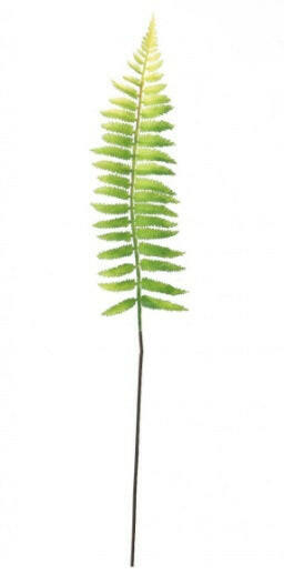 Artificial Ostrich Fern Stem