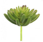 Artificial Agave Succulent Medium