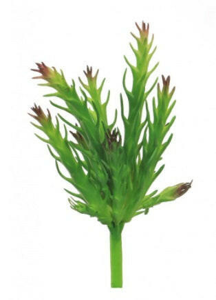 Artificial Plastic Calbo Succulent