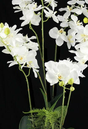 Artificial Silk Orchid Arrangement in a Moss Bag