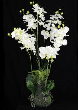 Artificial Silk Orchid Arrangement in a Moss Bag