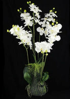 Artificial Silk Orchid Arrangement in a Moss Bag 