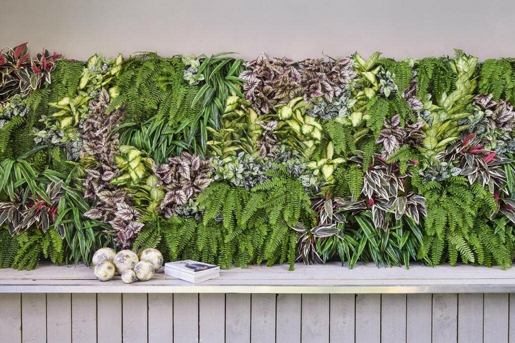 Artificial Green Wall Chatton Mix 100 x 100cm FR UV