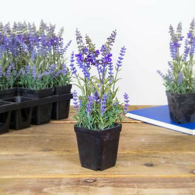 Artificial Lavender Plant