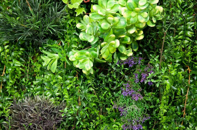 Artificial Green Wall Tropical Leaves 100 x 100cm