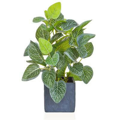 Artificial Silver Variegated Plant in Slate Pot