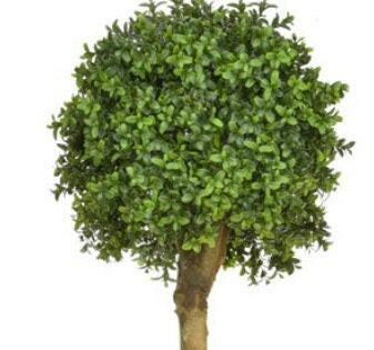 Artificial Topiary Buxus Double Ball Tree UV