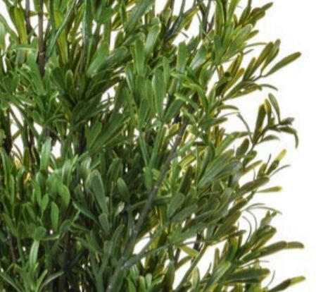 Artificial Topiary Rosemary Bush UV