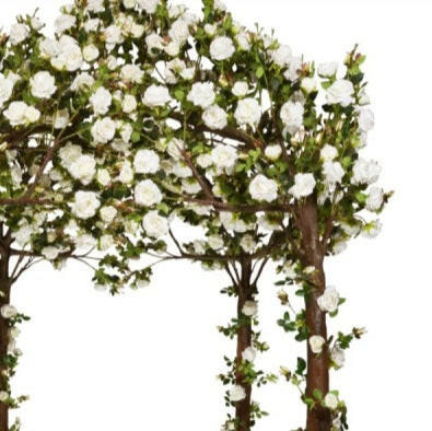 Artificial Silk Rose Pergola