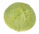Artificial Cabbage