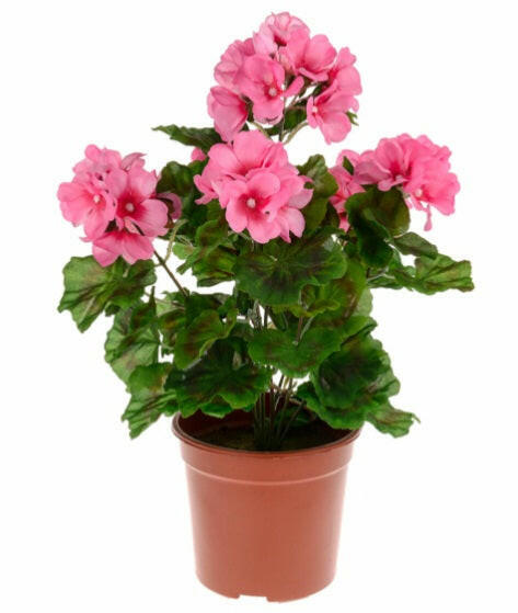 Artificial Silk Potted Geranium Arrangement