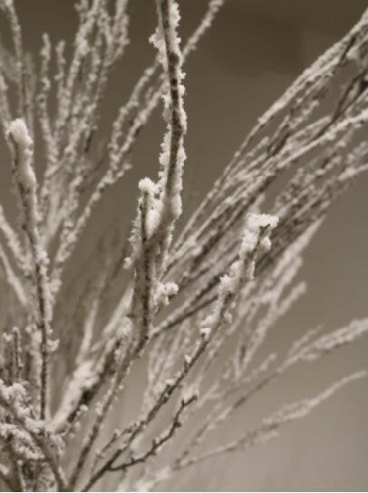 Artificial Snowy Twig Tree