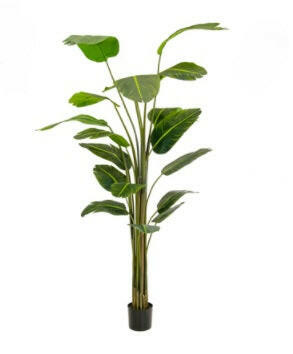 Artificial Silk Bird Of Paradise Tree FR