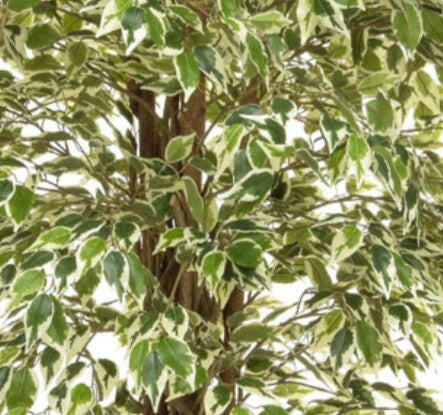 Artificial Silk Ficus Liana Tree