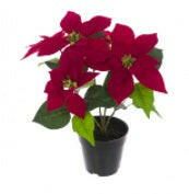 Artificial Christmas Silk Poinsettia in a Plastic Pot