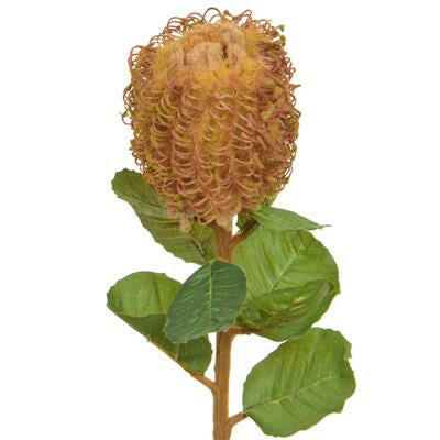 Artificial Protea