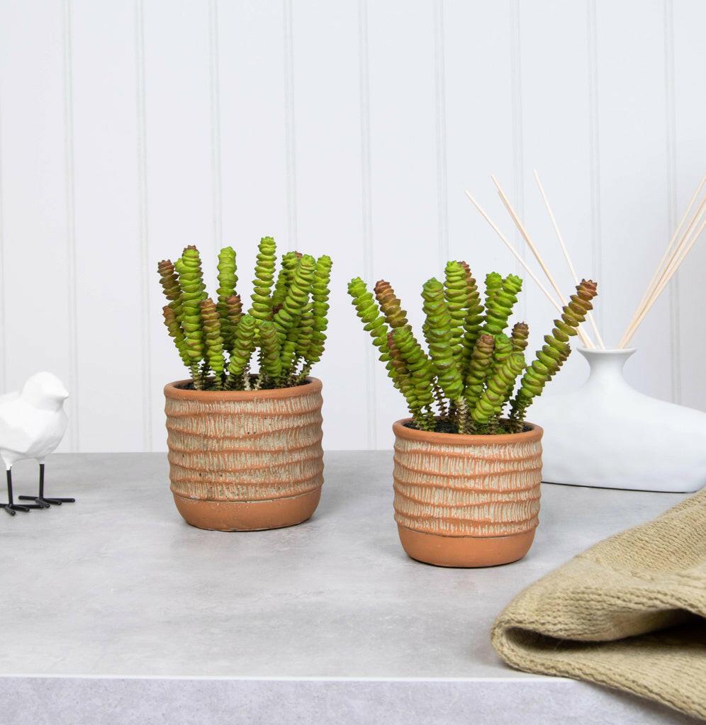 Artificial Succulent Mixed in Orange Pot