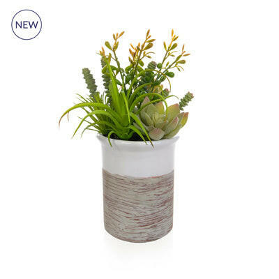 Artificial Succulent Mixed in White Pot