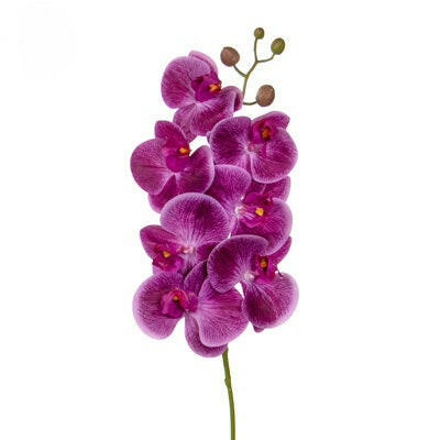 Artificial Silk Phalaenopsis, Real Touch