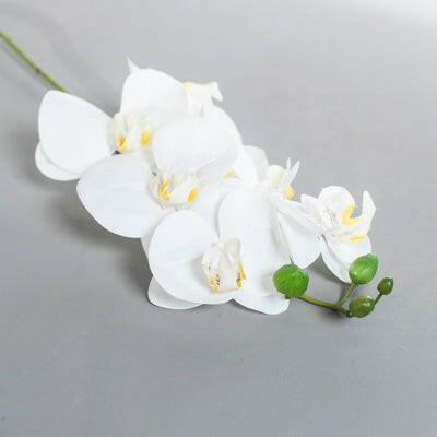 Artificial Silk Phalaenopsis, Real Touch