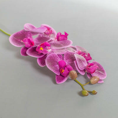 Artificial Silk Phalaenopsis, Real Touch