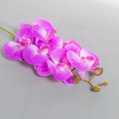 Artificial Silk Phalaenopsis, Real Touch