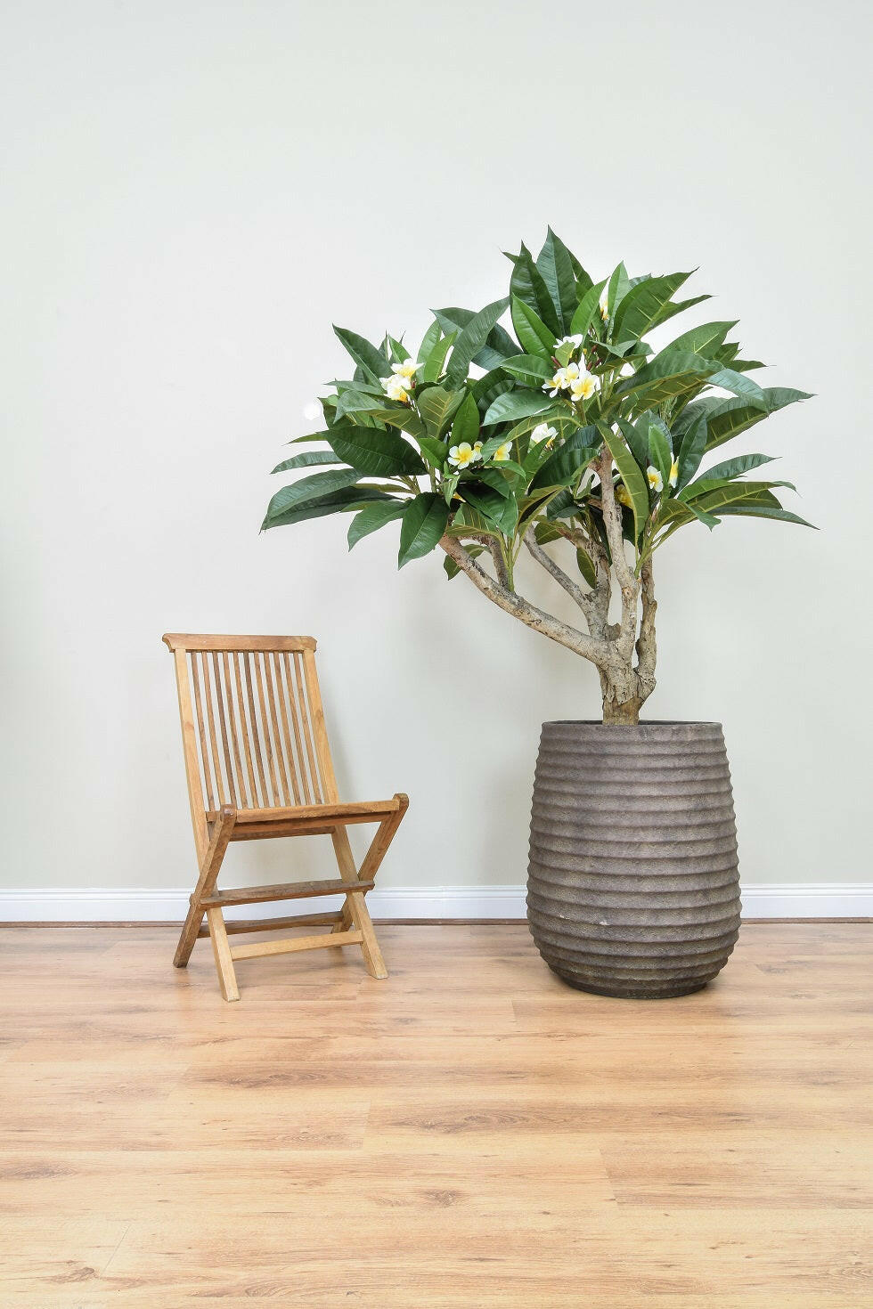 Luxury Artificial Silk Bespoke Plumeria Tree