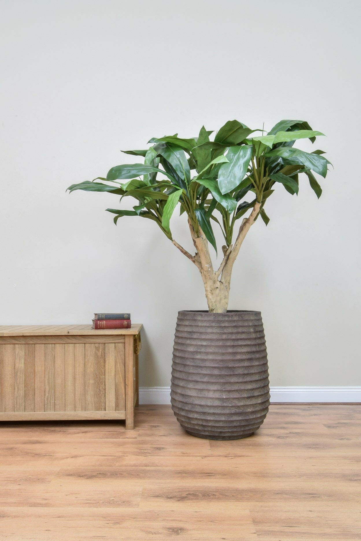 Luxury Artificial Silk Bespoke Cordyline Tree