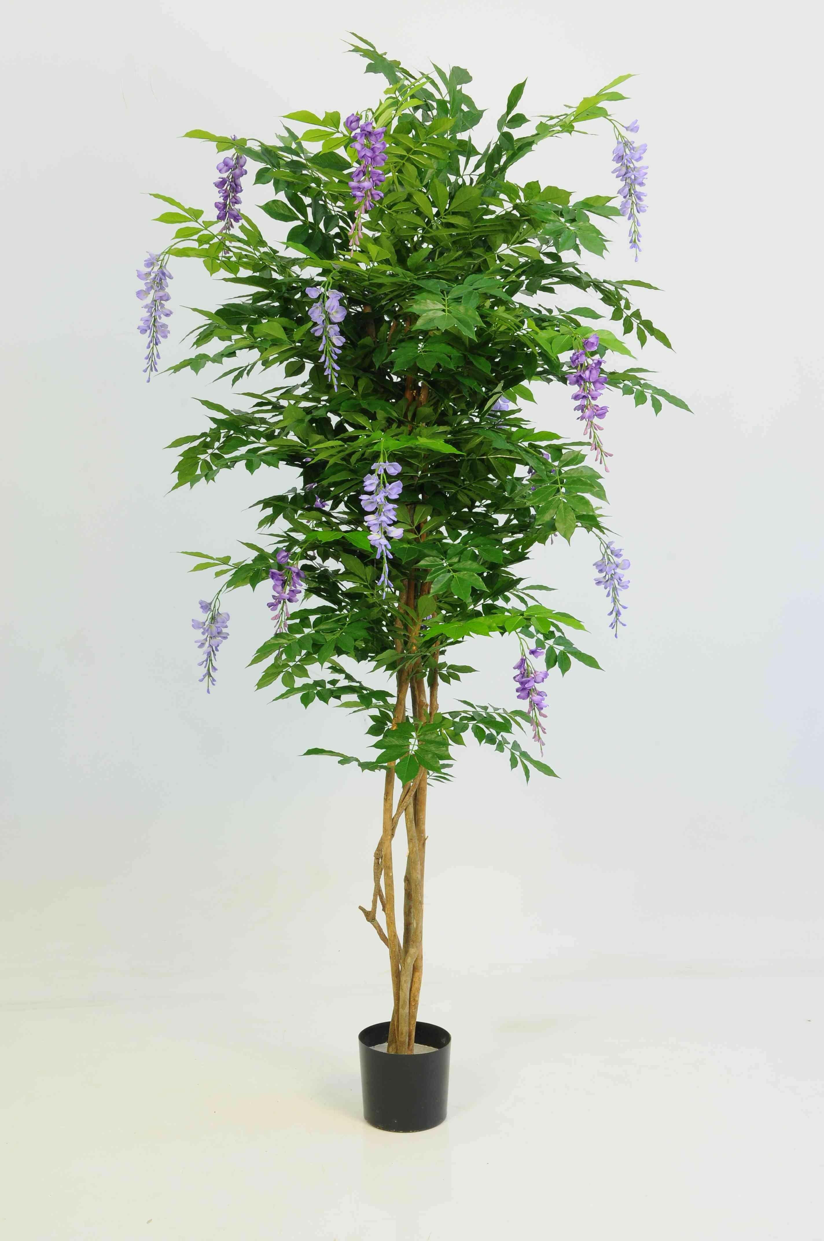 Luxury Artificial Silk Bespoke Multi Trunk Wisteria Tree