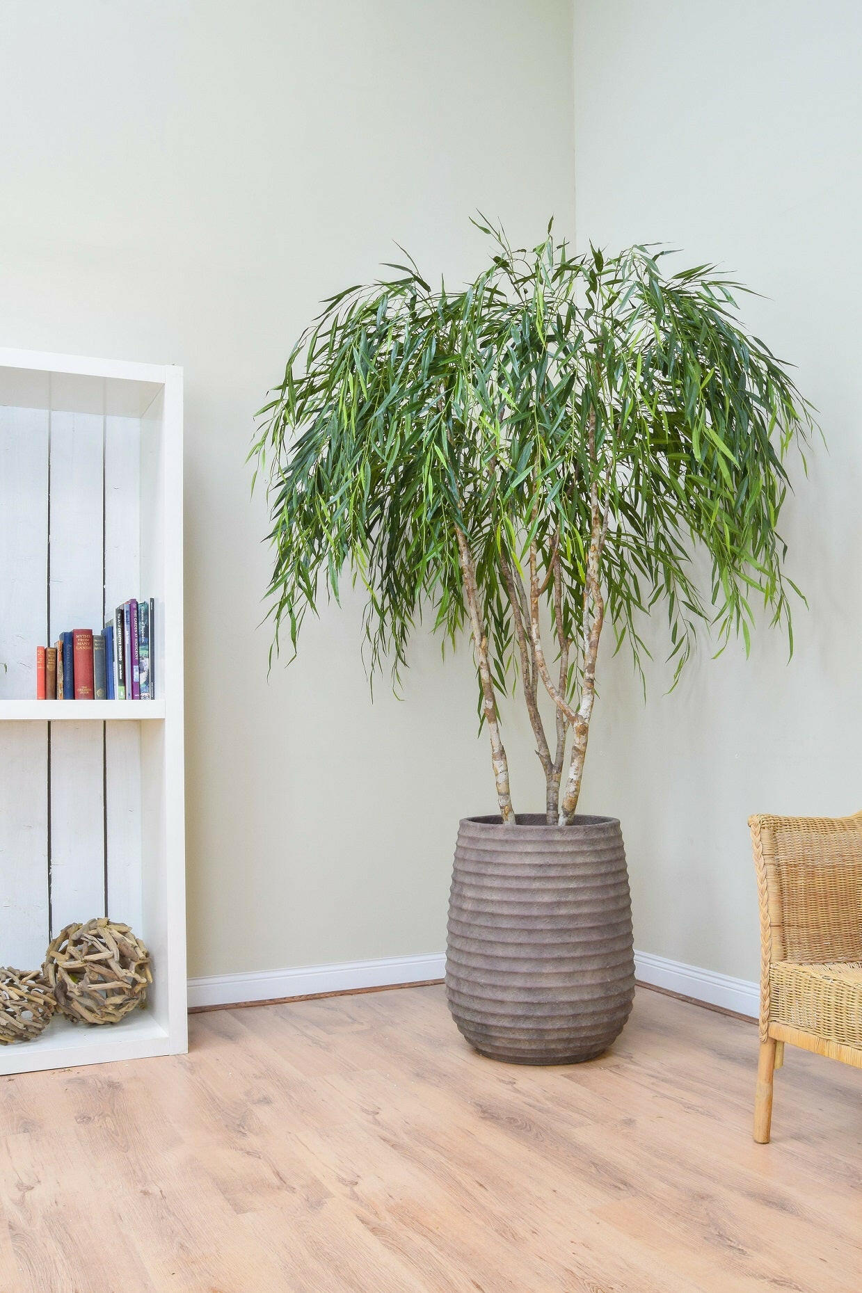 Luxury Artificial Silk Bespoke Multi Trunk Willow Tree