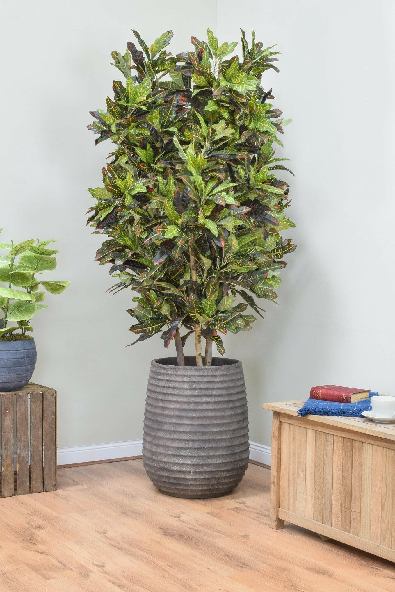 Luxury Artificial Silk Bespoke Multi Trunk Croton Tree