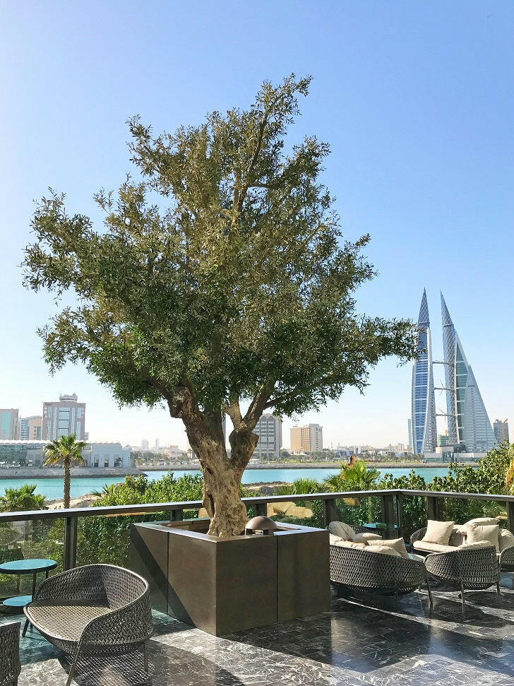 Artificial Bespoke Natural Olive Tree