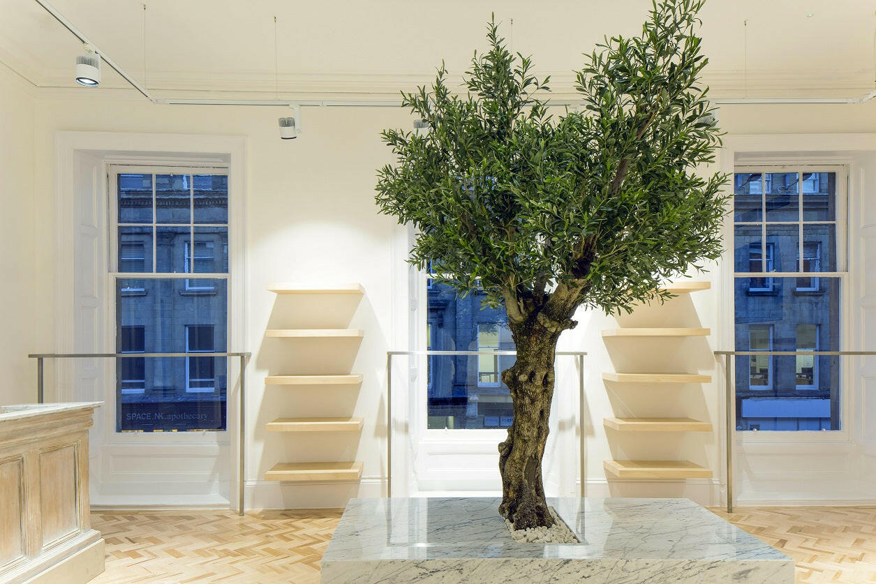Artificial Bespoke Large Natural Olive Tree
