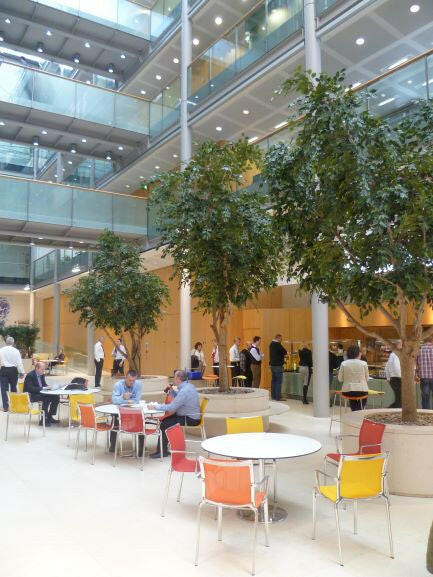 Artificial Bespoke Ficus Tree