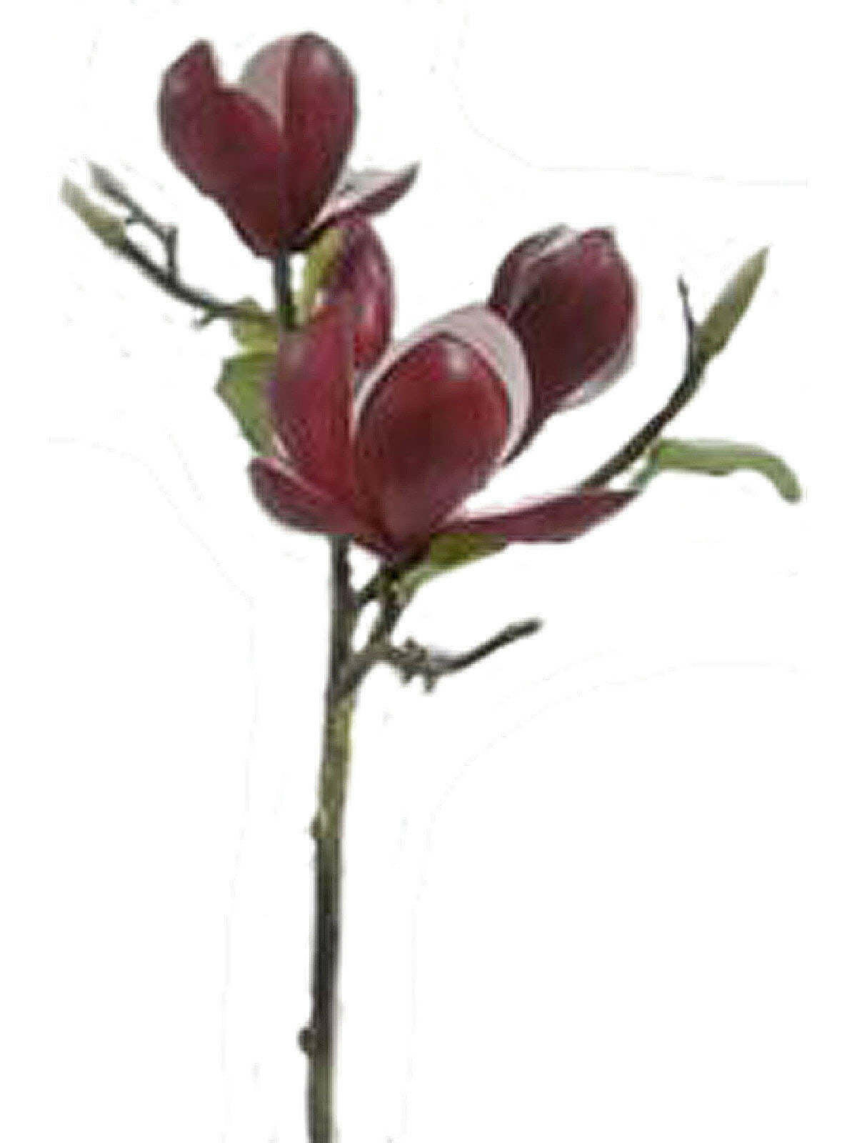 Artificial Silk Magnolia Medium Pick Spray